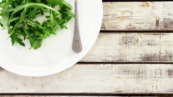 Arugula in plate with fork