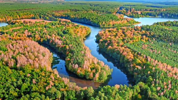 Turning river at sunset in autumn, aerial view of Poland