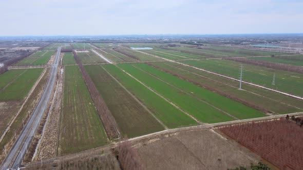 Agricultural Farmland