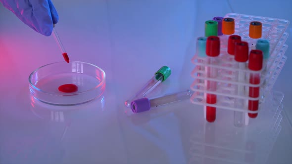 Scientist dripping blood sample. Lab technician dripping human red blood on slide glass