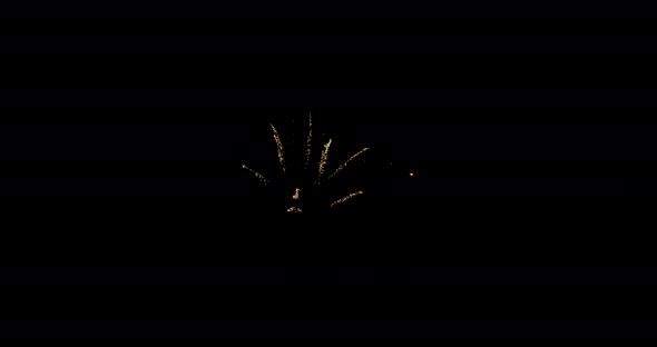 Fireworks against black sky at night