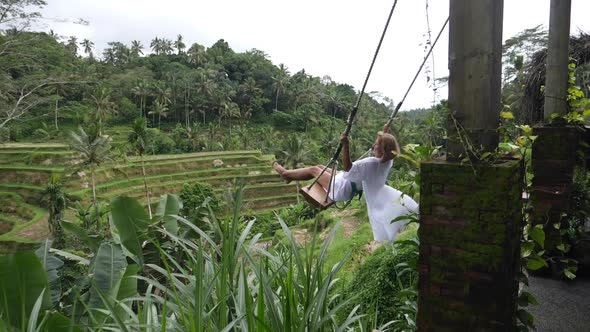 Balinese Rice Fields