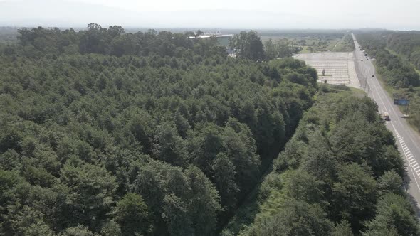 Aerial view of Black Sea Arena, the biggest concert hall of the country, Georgia 2020 summer