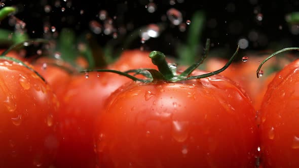 Water splash on tomato, Slow Motion