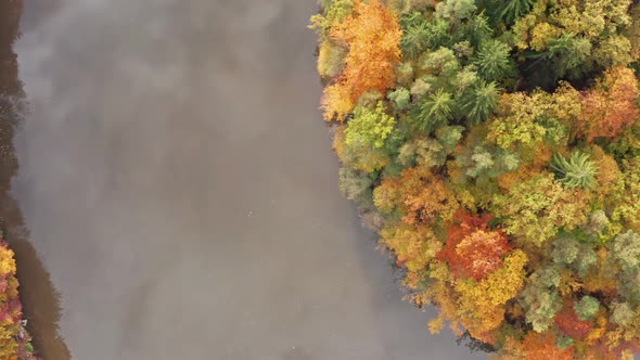 Aerial Above Lake with Autumn Foliage and Tree Reflections in Styria Thal Austria