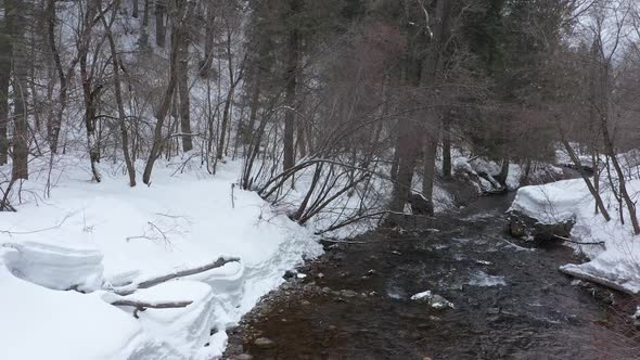 Flying over river in snowy canyon towards trees with moose