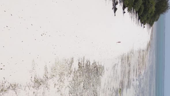 Vertical Video of a Coastal Landscape in Zanzibar Tanzania Aerial View