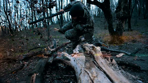 A soldier in camouflage and with a rifle jumps over a large fallen nine in the forest