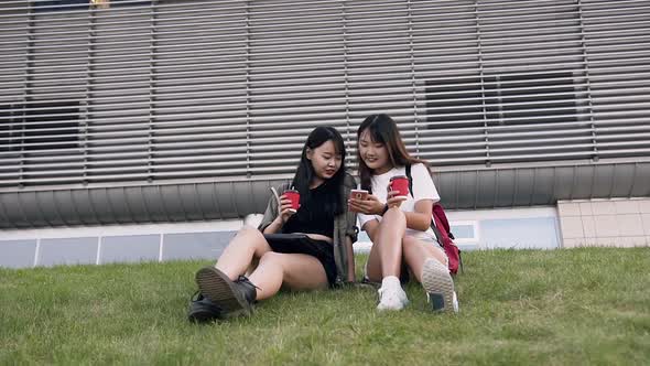 Joyful Asian Girlfriends Which Sitting on the Green Grass and Looking at the Phone