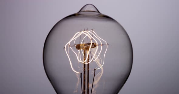 Light Bulb 