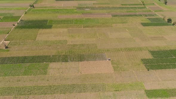 Agricultural Land in Indonesia