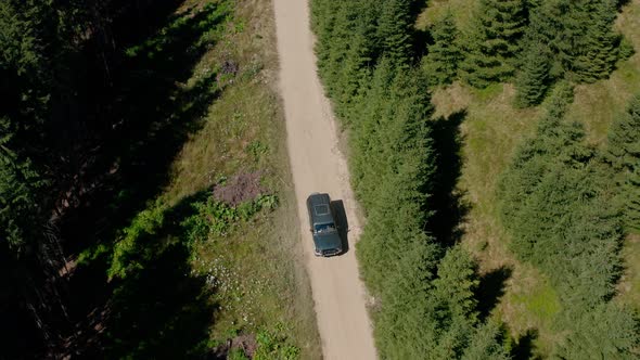 Aerial Drone View, Top Down Flying Over Forest Road with Car Driving Along Forest Road in Mountain