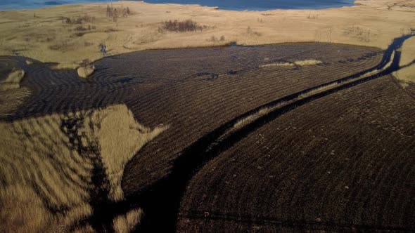 Aerial view of the lake overgrown with brown reeds, lake Pape nature park, Rucava, Latvia, sunny spr