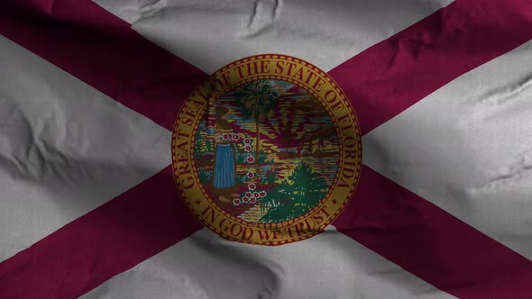 Florida State Flag 4K