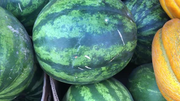 Melons and Watermelons at the Farmer's Market