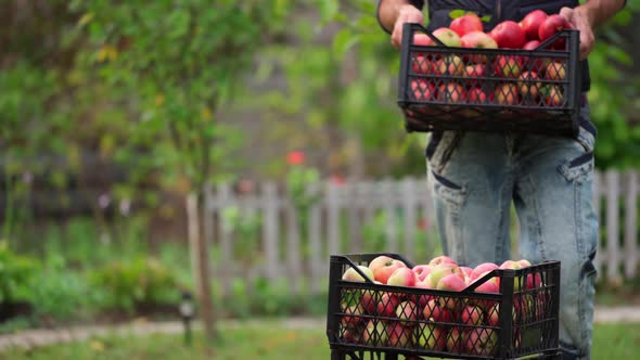 Pile of drawers with apples