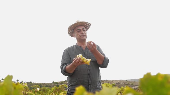 Senior Farmer in Knitted Hat Eat White Fresh Grapes in Hands and Smile