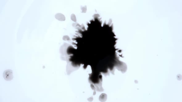 View of ink blot spreading after one another ink blot