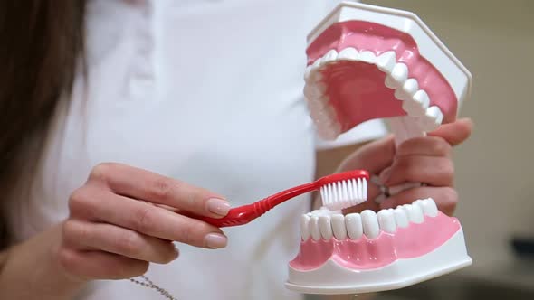 Woman at the Dentist Smiling