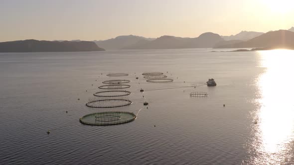An Aquaculture Fish Farm in the Early Morning