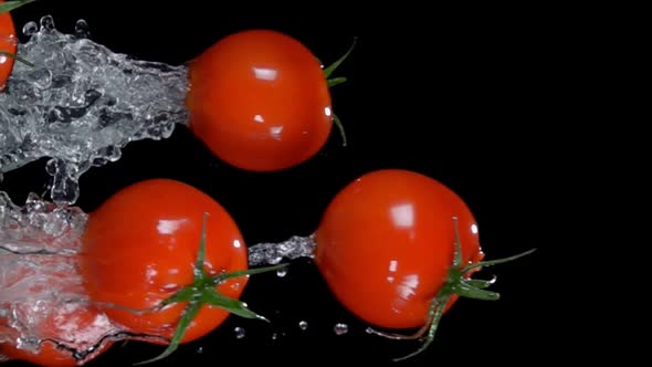 Small Cherry Tomatoes are Flying on a Black Background with the Splash of Water