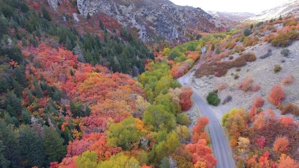 Aerial view flying backwards over colorful forest in Autumn