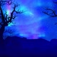 Northern lights and mysterious forest. theatrical background - VideoHive Item for Sale