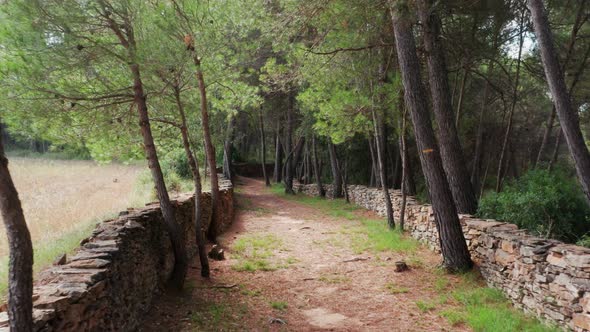 POV shot of a road through a mediterranean forest with low stone walls on the sides in Catalunya