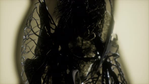 Human Skeleton Bones Scan Glowing alt