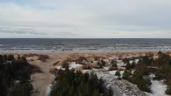 Landing aerial view of beautiful sandy seaside with spruce trees and land covered in snow on a cloud