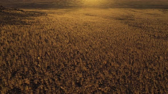 Aerial view of a grassland in Namibia at sunset.