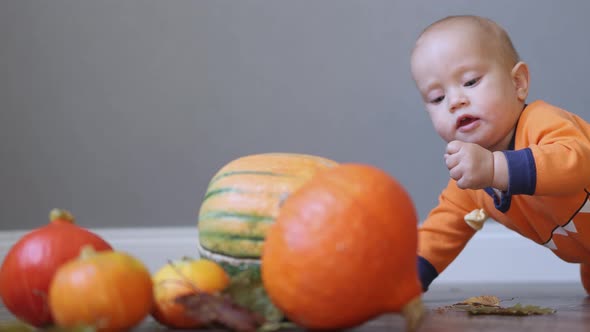 Baby Infant in Orange Clothes and Pumpkins on the Wooden Floor