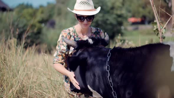 Woman In Hat Touching And Caress Cow. Female Farmer In Sunglasses Hand Strokes Cow In Grass Field.