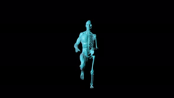 4K Skeleton Man Running