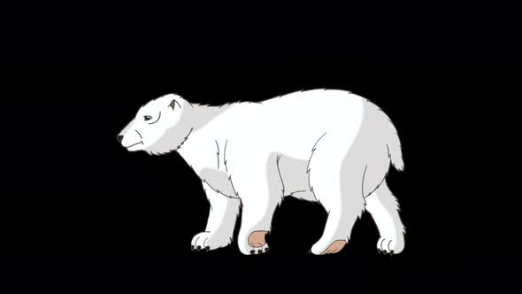 Polar bear 1 alpha matte