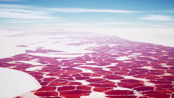 Beautiful View of Pink Lake on Summer Day