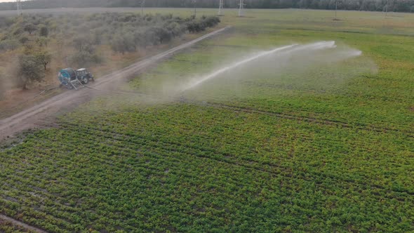 Drum Sprinkler System on a Potato Plantation. Modern Field Irrigation System