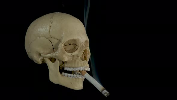 Cigarette with Skull