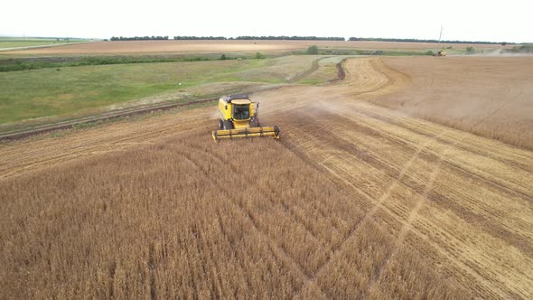 Aerial View of Harvester Machines Working in Wheat Field