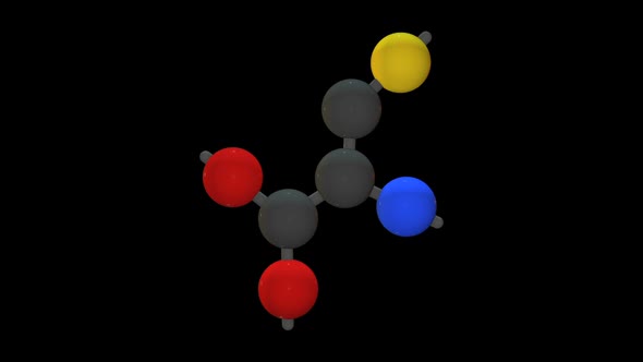 L-cysteine - Amino acid model