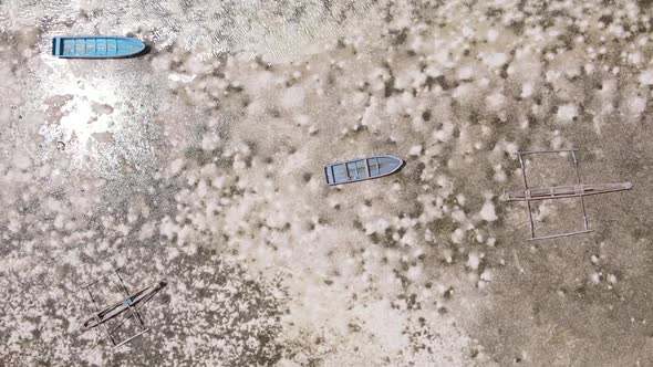 Zanzibar Tanzania  Vertical Video of Low Tide in the Ocean Near the Coast Slow Motion