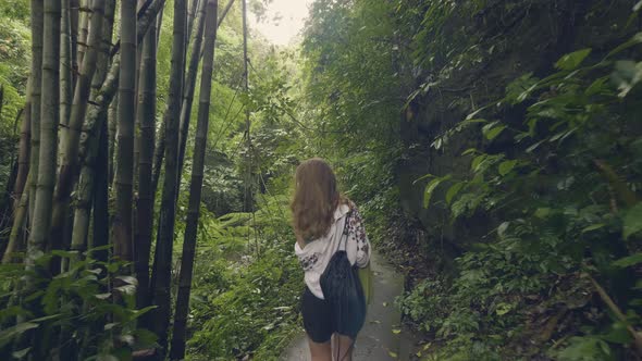 Tourist Woman Walking on Path in Tropical Forest on Green Trees and Plant Background. Back View