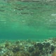 Underwater - VideoHive Item for Sale