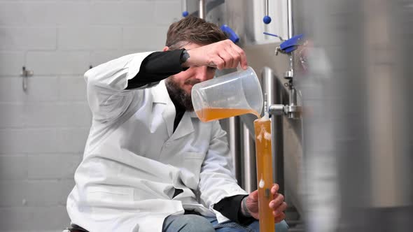 Professional Brewmaster Controlling Craft Beer Production Process in Brewery Measuring Beverage