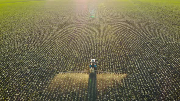 Aerial View of Farming Tractor Spraying on Field with Sprayer, Herbicides and Pesticides at Sunset