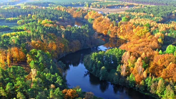 Sunrise at river and forest in autumn, aerial view