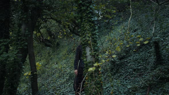 Tree Leaves Dancing with the Wind and a Woman Exploring the Forest Woods