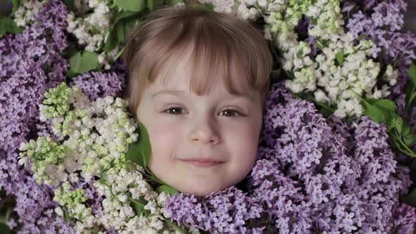 Cute Girl Child Looking From Bunch Bouquet of Lilac Flowers Around Her Face