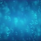 Bubbles Floating On Soft Blue Blurred Background - VideoHive Item for Sale