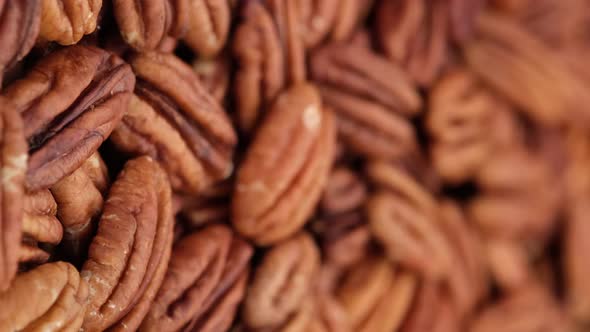 raw pecan nuts close up, rotation. Healthy food concept. Vertical video. 4K UHD video